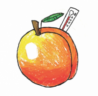 Пиво Aprikosfeber DDH NEIPA