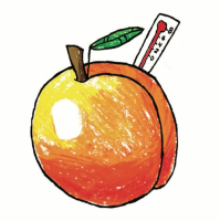 Пиво Aprikosfeber DIPA