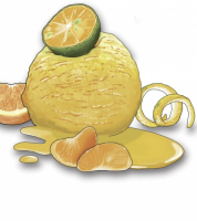 Пиво Citrus Crush Пиво Citrus Crush