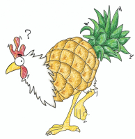 Пиво Do I Know You?