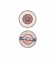 Пиво Double Nipple IPA Пиво Double Nipple IPA