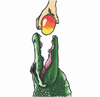 Пиво Floripa Пиво Floripa