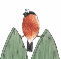 Пиво Split Vision