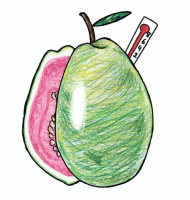 Пиво Guavafeber DIPA