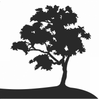 Пиво Liquid Porter