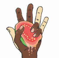 Пиво Magic Valley Пиво Magic Valley