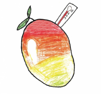 Пиво Mangofeber DDH IPA