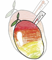 Пиво Mangofeber IPA 4.2%