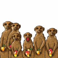 Пиво Meerkat Madness Пиво Meerkat Madness