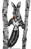 Пиво Nuts! Пиво Nuts!