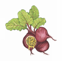 Пиво Passionate Beet Пиво Passionate Beet