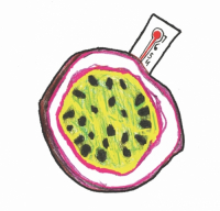 Пиво Passionfeber IPA Пиво Passionfeber IPA