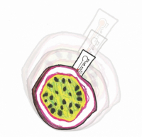 Пиво Passionfeber Session IPA (3.5%) Пиво Passionfeber Session IPA (3.5%)