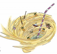 Пиво Pineapple Smoothie Swirl IPA