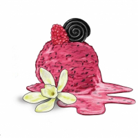 Пиво Raspberry Liquorice Vanilla Sorbet