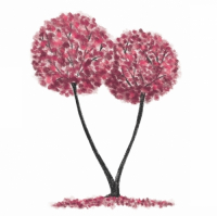 Пиво Sakura Tree Пиво Sakura Tree