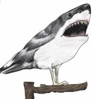 Пиво Shart Пиво Shart