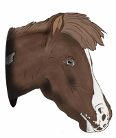 Пиво Sneaky Horse Пиво Sneaky Horse