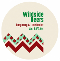 Пиво Raspberry And Lime Radler