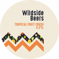 Пиво Wildside Beers Tropical Fruit Crush