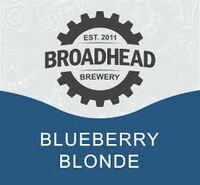 Пиво Blueberry Blonde Пиво Blueberry Blonde