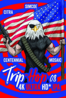 Пиво Trip-Hop 08 Citra Mosaic Simcoe Centennial