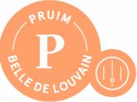 Пиво 3 Fonteinen Pruim Belle De Louvain (season 21|22) Blend No. 19 Пиво 3 Fonteinen Pruim Belle De Louvain (season 21|22) Blend No. 19