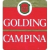 Пиво Golding Campina
