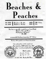 Пиво Beaches & Peaches