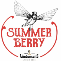 Пиво Summer Berry