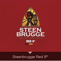 Пиво Steenbrugge Red 9°