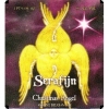 Пиво Serafijn Christmas Angel