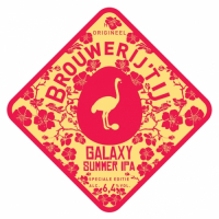 Пиво Galaxy Summer IPA Пиво Galaxy Summer IPA