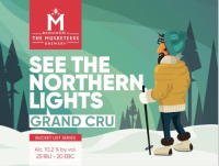 Пиво See the Northern Lights