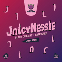 Пиво JuicyNessie (Black Currant + Raspberry)