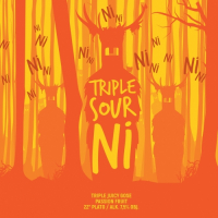 Пиво Triple Sour Ni