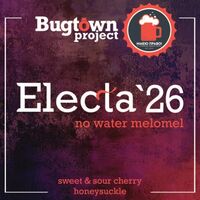 Пиво Electa '26