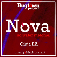 Пиво Nova. Ginja BA