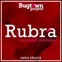 Пиво Rubra