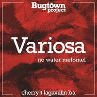 Пиво Variosa: Lagavulin