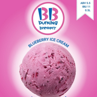 Пиво Blueberry Ice Cream