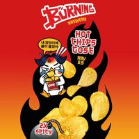 Пиво Hot Chips Gose