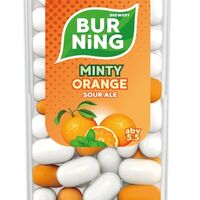 Пиво Minty Orange