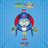 Пиво Rok Fir & Mint