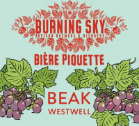 Пиво Bière Piquette Пиво Bière Piquette