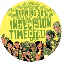 Пиво Indecision Time: Citra Пиво Indecision Time: Citra