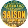 Пиво Saison L'Automne