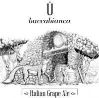 Пиво Û baccabianca