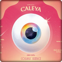 Пиво Cosmic Silence