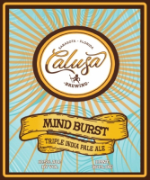 Пиво Mind Burst Пиво Mind Burst